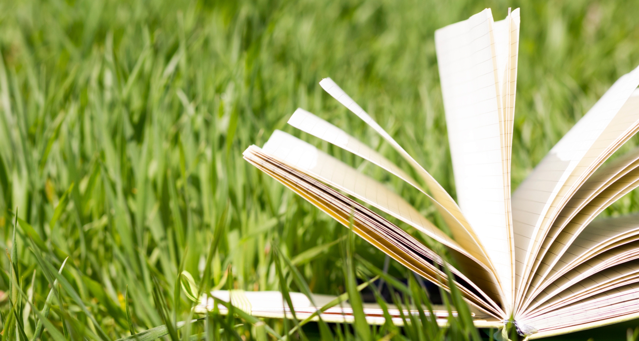 open book in the grass