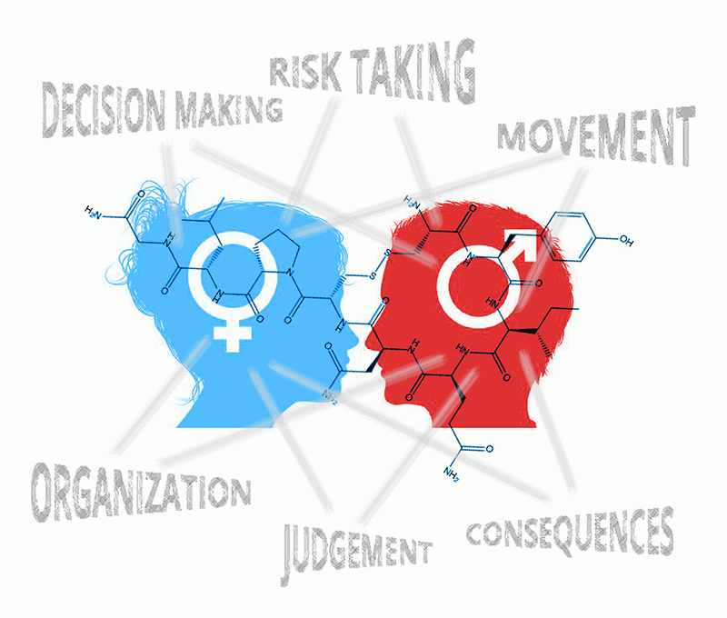illustration, girl and boy silhouette, text: decision making, risk taking, movement, organization, judgement, consequences
