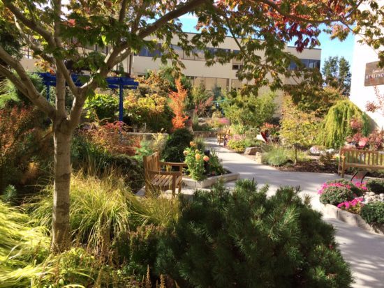 Healing Garden at Legacy Meridian Park Medical Center